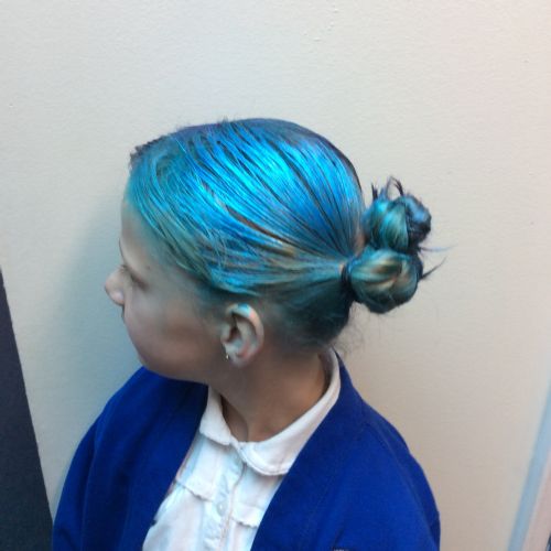 PTFA - Crazy Hair Day